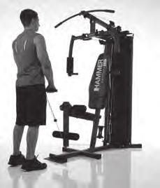 Endposition:Fix the ellbow and move the forearms up. Pay attention, that the upper body stays straight.