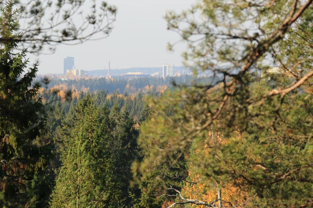 11 Rajaukset perustuvat ennen kaikkea siihen, että alueiden metsät ovat luonnonsuojelullisesti arvokkaita ja laajalti luonnontilaisen kaltaisia, muun muassa runsaslahopuustoisia.