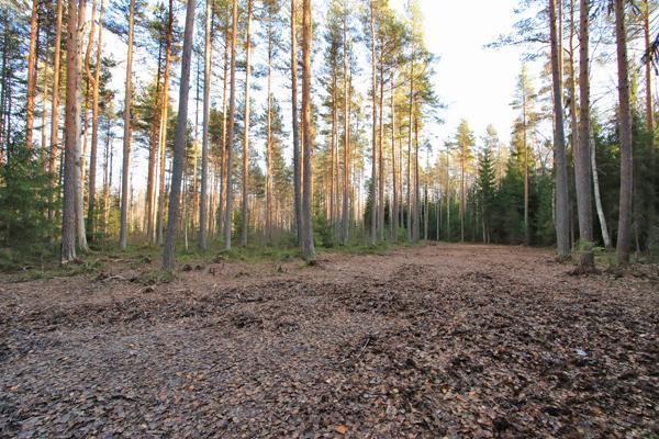 14 Kuvat 32 ja 33. Golfkentän itäpuolelle 2018 tehty frisbeerata lohkaisi myös osansa. Sen sanottiin rakennetun alueen vanhoille pelloille.