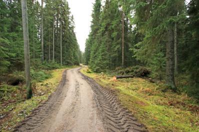 Väkimäärän kasvun aiheuttama rakentaminen, viheralueiden supistuminen ja luontoliikunnan suosio lisäävät Kauppi-Niihaman käyttöpainetta entisestään.