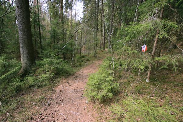 Kulutusherkkyytensä vuoksi Kauppi-Niihaman metsät eivät sovellu suurten massatapahtumien pitopaikaksi.