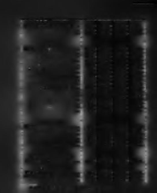 900: 850: 2.850: 855: 3.705: 800: 2.800: 840: 3.640: 600: 2.600: 780: 3.380: 1.000: 1.600: 480: 2.080: 900: 1.500: 450: 1.950: 850: 1.450: 435: 1.885: 800: 1.400: 420: 1.820: 759: 1.350: 405: 1.