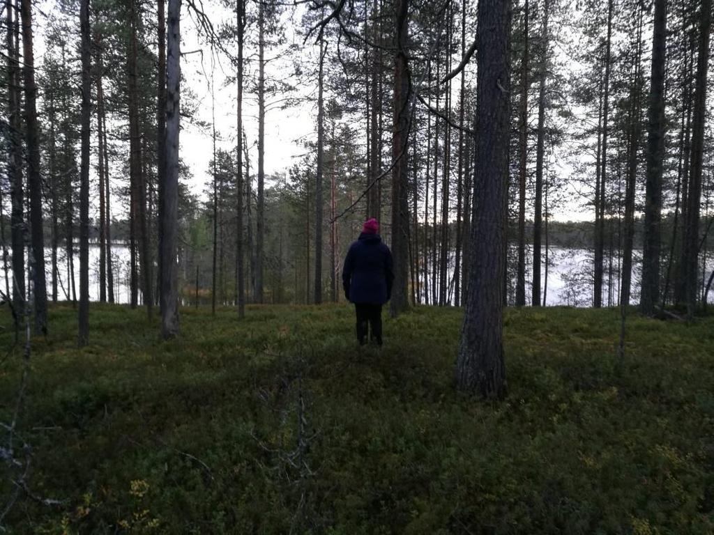 kuvattuna Kuva 19