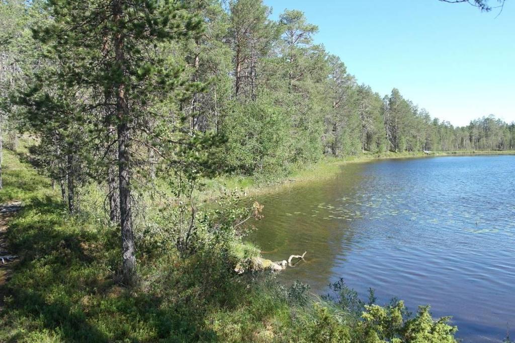 rakennuspaikka maalta