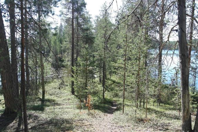 Kaava-alueen yleissijainti ja lähistön kaavatilanne on oheisella kartalla. Kuva 3 Kaava-alueen sijainti 3.1.
