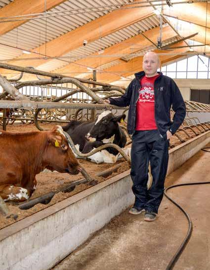 Kesäkuussa 2018 Kukka (VR Efect x P.Priha) ja Asmo Maila (VR Fabio x L.Viikari) pääsivät poseerauskuviin. Kalle kertoo olevansa pitkämielinen vähän hankalampien tapausten kanssa.