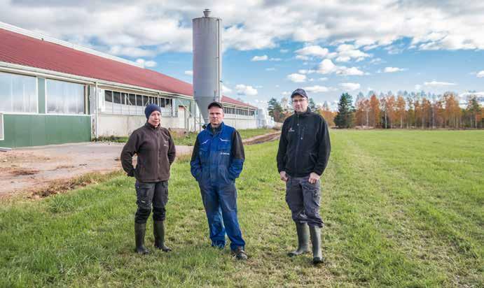 Parhaimmat 305 päivän tuotokset ovat myös komeita. Peräti 11 tuotannossa olevaa lehmää on Avokaadon ja Ehtan lisäksi ylittänyt 14 000 kiloa.