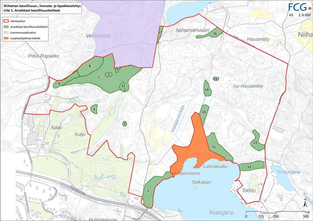 LUONNONSUOJELUALUEET (Suora lainaus Niihaman kasvillisuus-, linnusto- ja lepakkoselvityksestä) Selvitysalueella on suositeltavaa säilyttää luonnonarvojatkumoita, jotka sisältävät liitteessä 1