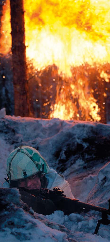 voivat joukkoyksikön lääkärit käskeä psyykkisen toimintakykynsä menettäneen sotilaan.