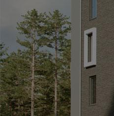kivilajeihin