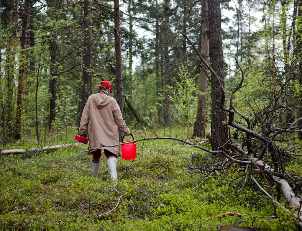 ELINVOIMAINEN UUSIMAA TAVOITTEEMME kohtuuhintaisen asuntotuotannon elvyttäminen valtion tuella lähidemokratian kasvattaminen siirtämällä päätösvalta lähelle kansalaista, mahdollisuus vaikuttaa