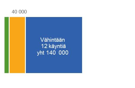 4-11 KÄYNTIÄ VÄH 12 KÄYNTIÄ 1-3