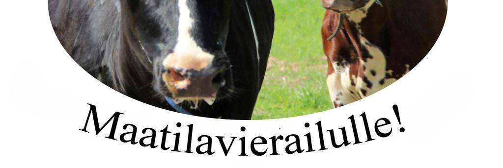 muassa tutustumaan robottilypsyyn valvontahuoneen kautta, rapsuttelemaan vasikoita