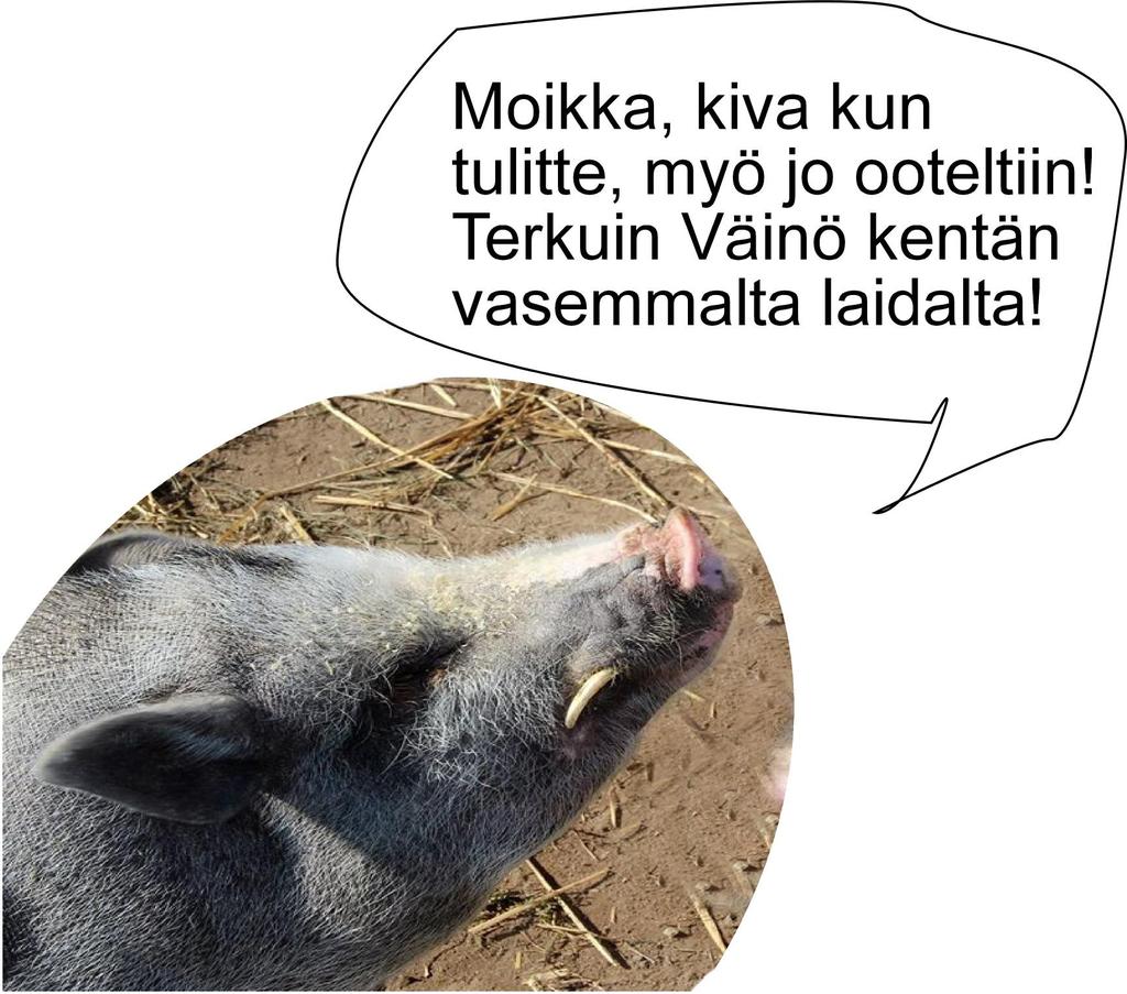 Hyvä messuvieras Tervetuloa tutustumaan monipuoliseen maaseudun elämään tänne Joroisiin. Maaseutu tarjoaa upeat puitteet niin asumiseen, työhön, kuin vapaa-aikaankin.