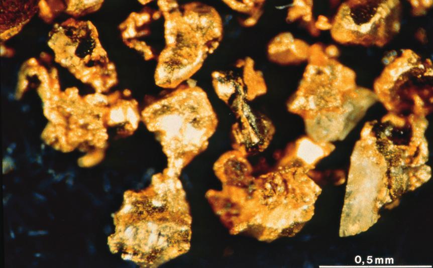 Kuva 3. Osittain omamuotoisia Pampalon kalliopaljastuman irtomaasta vaskattuja kultarakeita millimetripaperin päällä. Mittakaava 0.5 mm. Kuva: Kari Kojonen Kuva 2.