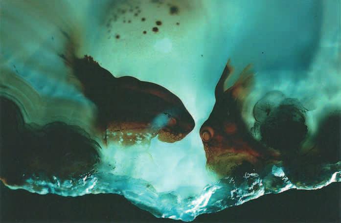 tämä pieni osanen akaatinsiivusta, jonka voisi luulla esittävän akvaariokaloja. Kuva: Paavo Korhonen Miten kivet sitten tulivat Paavon elämään? Kesästä 1980 kaikki sai alkunsa.