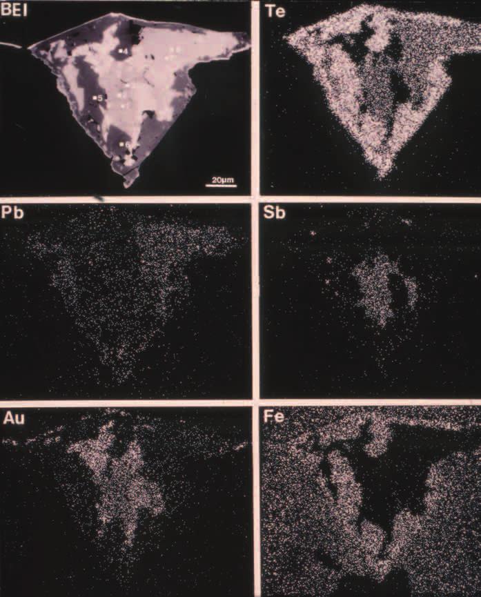 Takaisin sironneiden elektronien muodostama kuva (BEI Back Scattered Electron Image) ja alkuaineiden Te, Pb, Sb, Au ja Fe jakaumakuvat pampaloiitista, lyijy- ja rautatelluridista sekä kultarakeista.