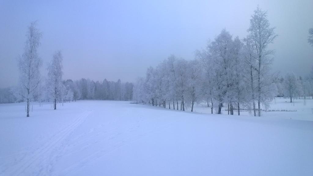 Latuverkon saavutettavuuden ja käytettävyyden