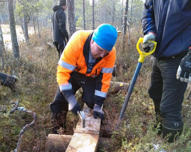 21/24 27.10. Erävalkean Syystalkoot 2. 2018, Parkano 2 Su, 3 Se, 1 Ta, 7 Sa, - Va, 3 Aik, - EVP, 5 EVPAik, Yht. 21 Syystalkoissa oli melko vähän osallistujia, joten järjestettiin toiset.