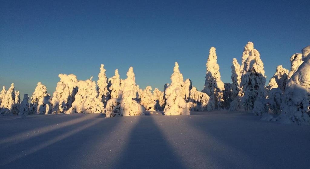 Miksi luontomatkailuyrityksen tulisi toimia vastuullisesti? Ilmastonmuutos vaikuttaa siihen, mihin matkailijavirrat tulevaisuudessa suuntautuvat.