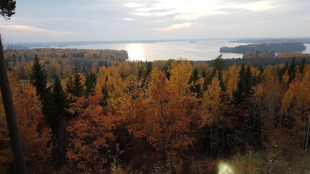 Tampereella 31.10.2018 Miten luen lakia?