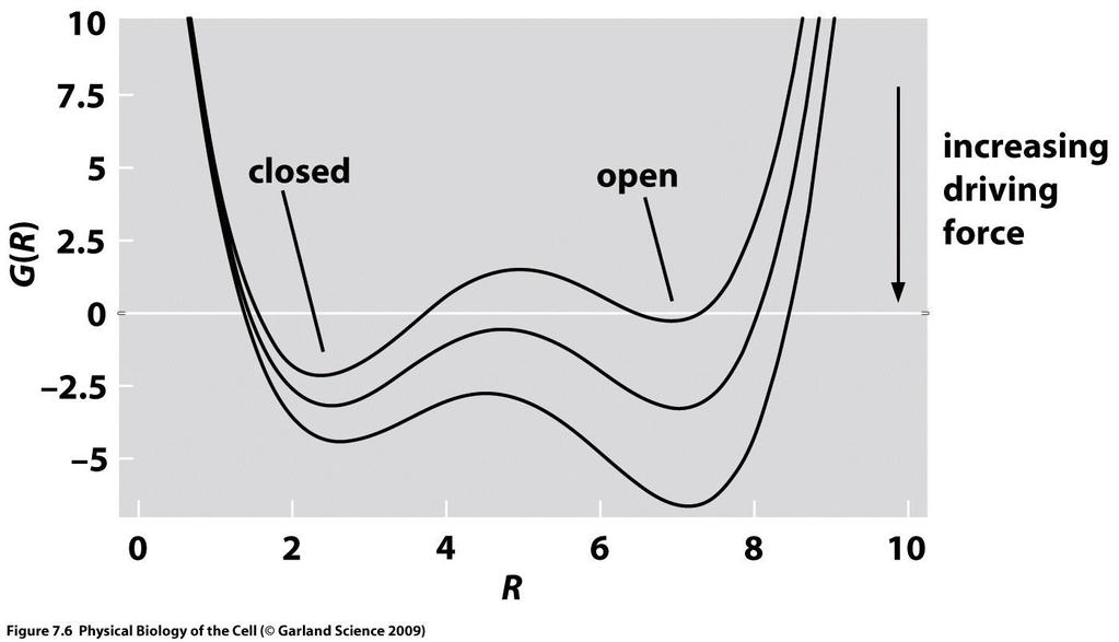 Kahden tilan systeemit: Na + -kanava jatkuu Yksinkertaisimmassa mallissa kanavan aukiolotodennäköisyyttä P open kuvataan vain tilanmuuttujan avulla Energiafunktio: E( ) (1 ) open Energiatilan E