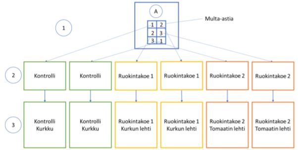 Soveltuuko kurkun ja tomaatin lehdet kotisirkkojen