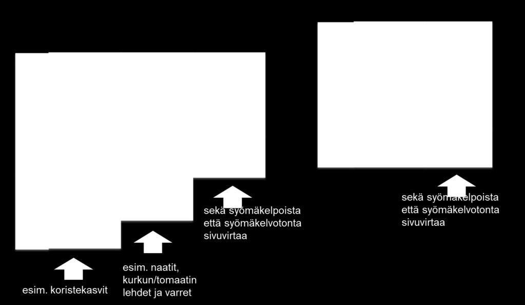 Taustaa Puutarhatuotannon sivuvirrat ja hävikki tarve Ennaltaehkäistä ja vähentää jätteen syntyä Löytää uusia lisäarvoa tuottavia,