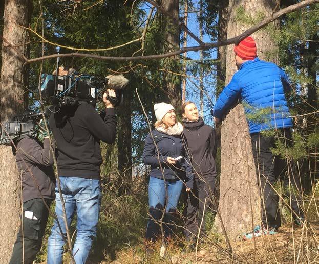 Vuonna 2018 puunhalausviikon viestinnässä keskityttiin uusiin verkkosivuihin ja some-viestintään. Uudet sivut keräsivät lyhyessä ajassa runsaasti vierailijoita (3 603 vierailijaa) ja sivu on vyl.