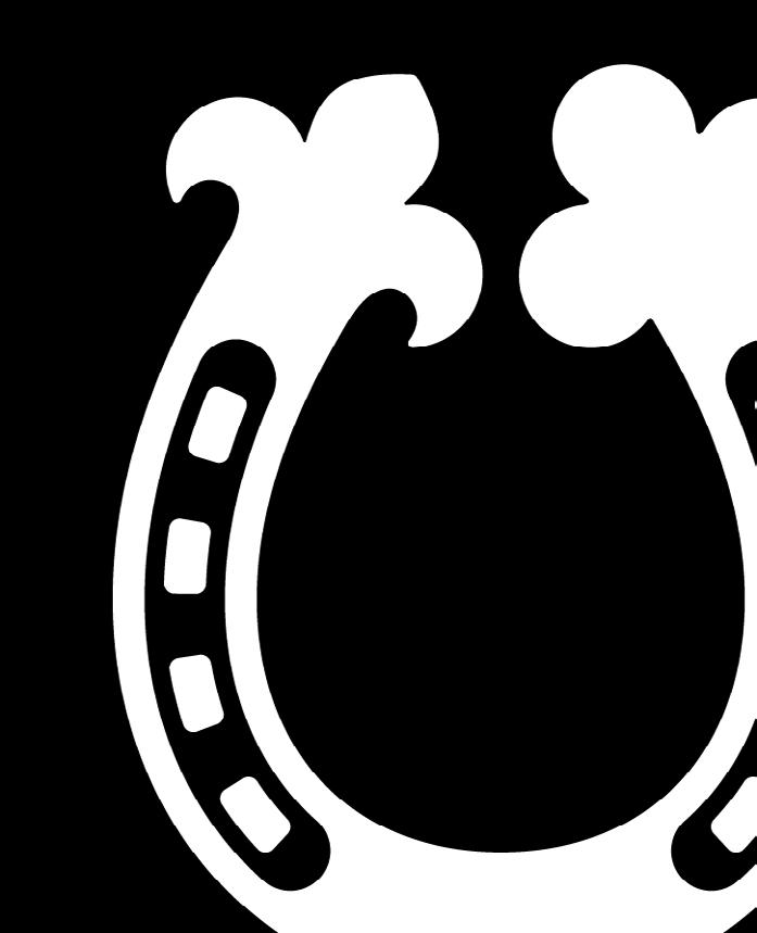 Espoon Partiotuki ry Toimintakertomus ja tilinpäätös 2018