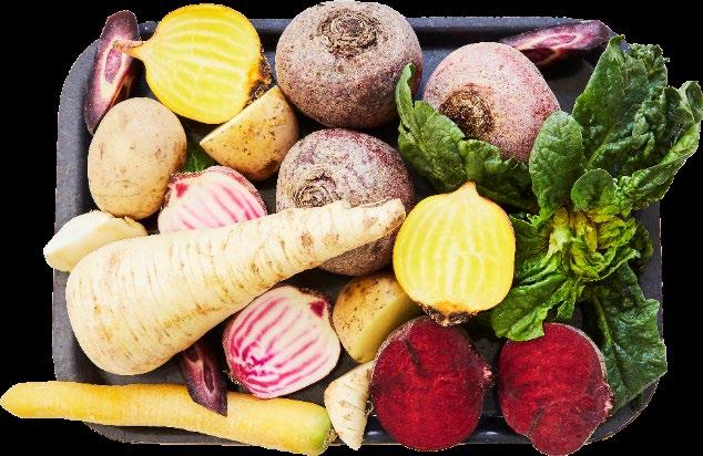Apetit luo hyvinvointia kasviksista Apetit tuottaa kasviksiin ja kasviöljyihin perustuvia ruokaratkaisuja Ruokaratkaisuasiakkaita 9:ssä maassa vähittäiskaupassa, HoReCa-sektorilla sekä