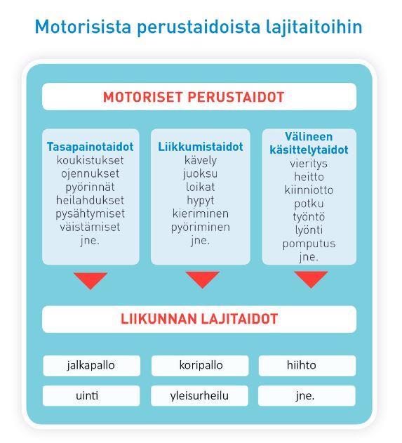 Liikunnallisten perustaitojen, samoin kuin kaikkien lajitaitojen