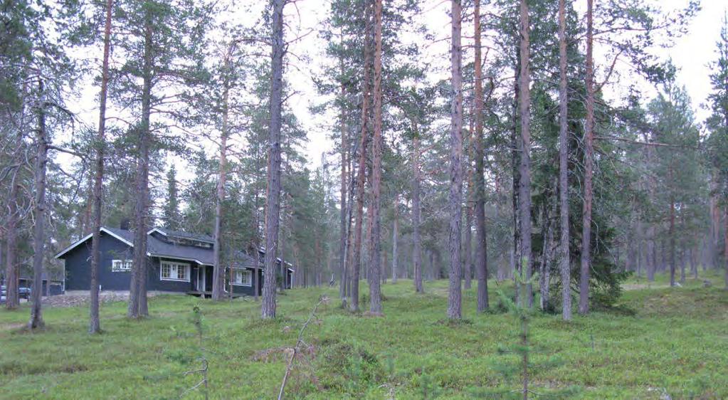 Ylläskieppi, Äkäslompolo