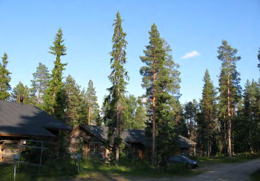 Mathildedal, Meri-Teijo V1 8.4.