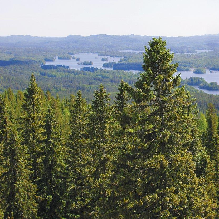 Kuvat: Aku Ahlhom, Riikka Hurskainen, Hannu Huttu, Päivi Jantunen, Taisto Karjalainen, Hanna Kelola-Mäkeläinen, Arto Komulainen, Pekka Koski, Teemu Lahtinen, Paavo Lehtonen, Kari Leo, Levin