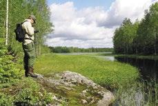 Metsä muistaa ja kertoo Miltä kuulostaisi patikkaretki 1500-luvun valtatietä pitkin tai retki hyytävien tarinoiden kera