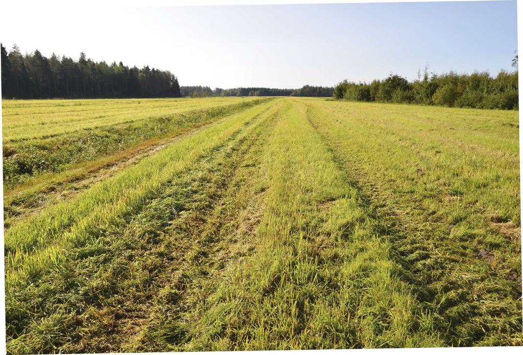 Tiina Hyvärinen, ProAgria Pohjois-Savo Havaintoja peltoliikenteen vaikutuksista nurmen kasvuun -hankkeessa mukana olleilla kolmella pohjoissavolaisella tilalla havainnoitiin peltoliikenteen