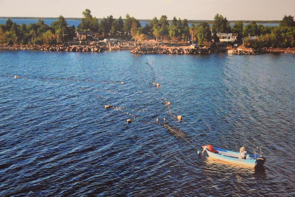 Lauri on kaupallinen kalastaja ja hän ollut 23-vuotta Pirkkiön osakaskunnan kalastuksenvalvoja. Lauri kalastaa monenlaisia kaloja, hänellä on verkkoja ja yksi lohirysä.