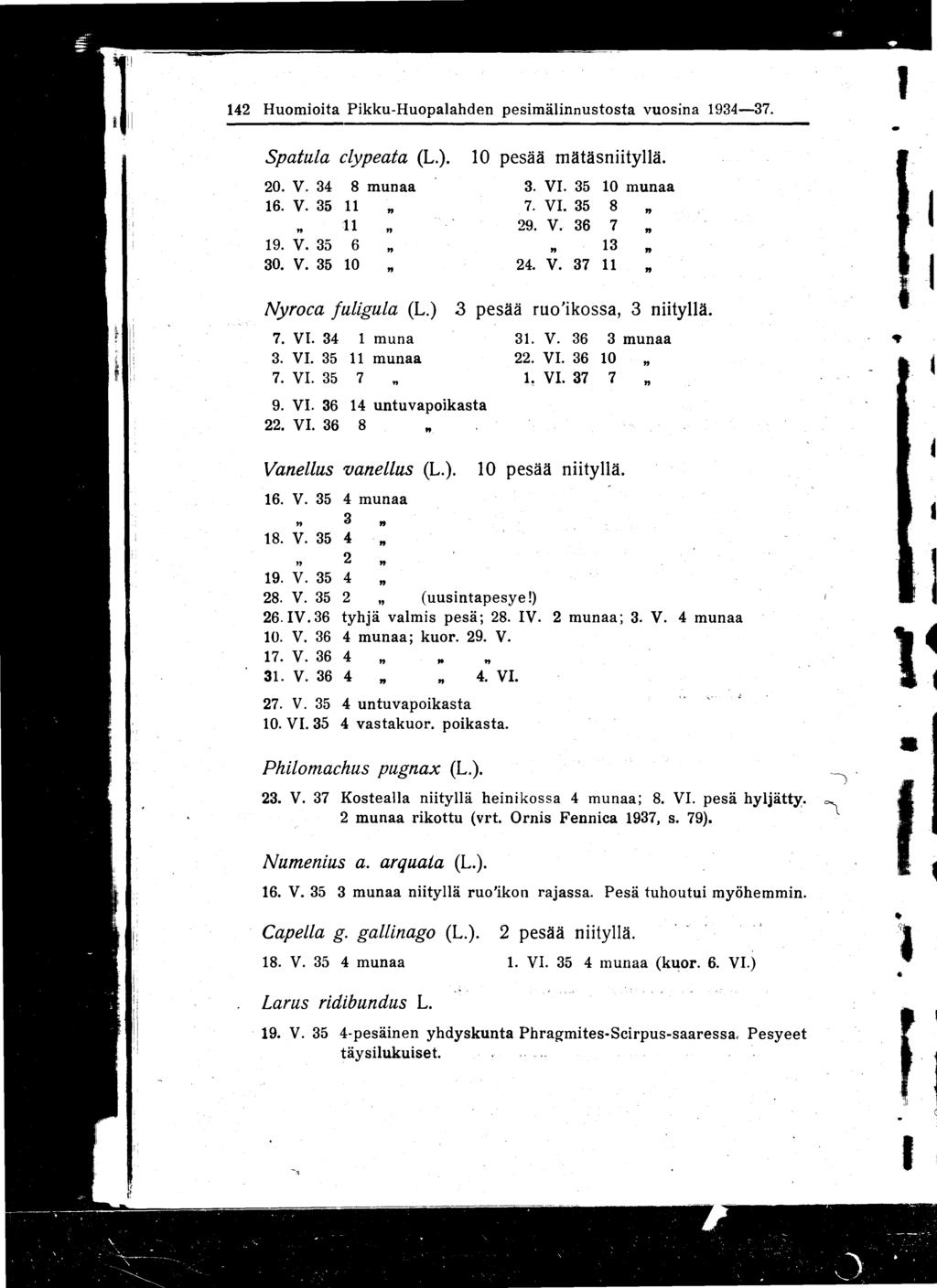 14 2 Huomioita Pi kku-huopalahden