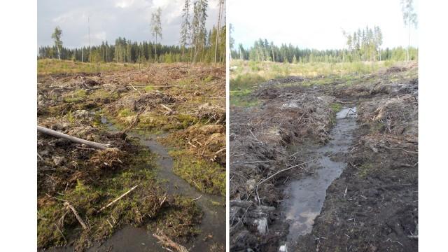 ojitusmätästys, aiheuttavat suuret hiilidioksidipäästöt.