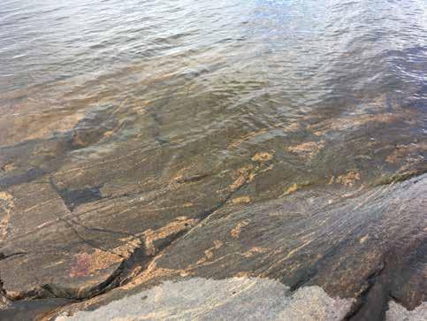 Juvan kallioperä Yksi Juvan yleisistä kivilajeista, erityisesti taajaman alueella, on kiillegneissi, joka on saanut alkunsa muinaisen meren pohjalle noin 1900 miljoonaa vuotta sitten kerrostuneista