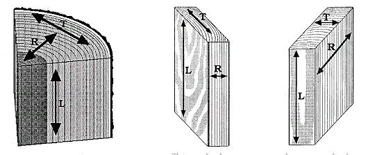 15 Kuva 1. Kosteuselämiseen vaihtelee suuresti eri suunnissa. T on tangentin suuntainen, R on säteen suuntainen ja L pituuden suuntainen.