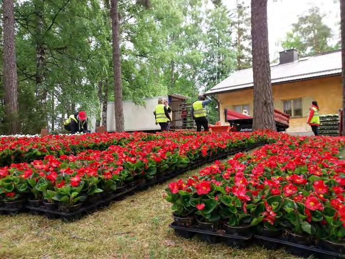 HAUTAINHOITORAHASTO / TOIMINTAKERTOMUS 1. Työalalla on toimittu perustoimintasuunnitelman mukaan.