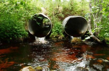 13 Padot, jollaiseksi esteellinen ylitysrakenne voidaan luokitella, muuttavat joen luontaista ekologista tilaa (Kuvio 2). Ne estävät muun muassa vaelluskalojen liikkumista.