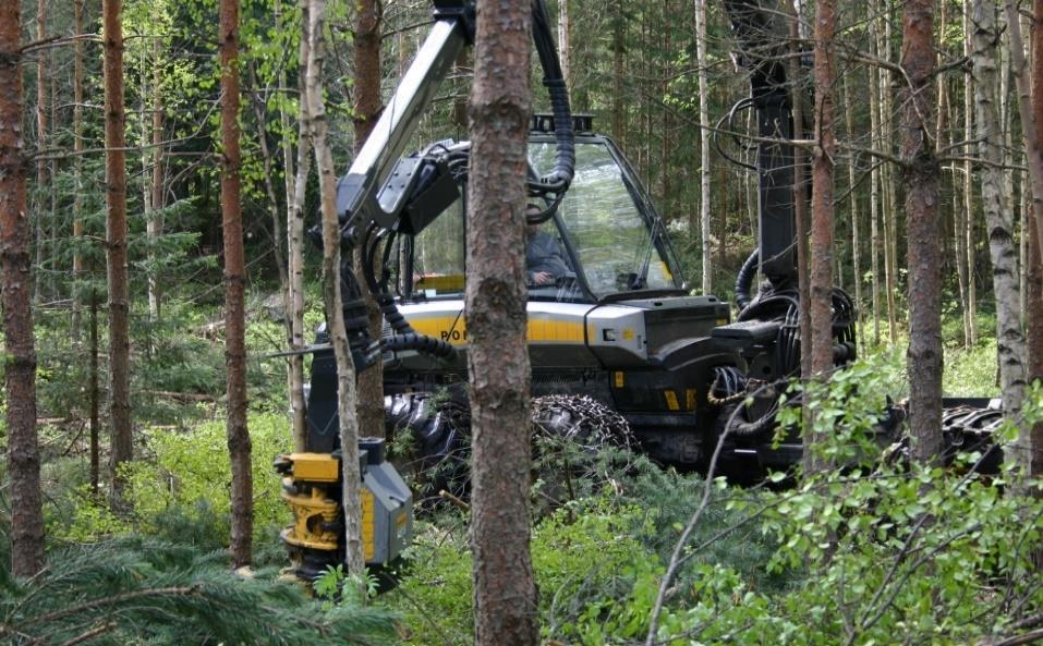 6.2.3 Metsäkoneenkuljettajat Juuri valmistuneiden metsäkoneenkuljettajien kohdalla ongelmana nähtiin työn tuottamattomuus.