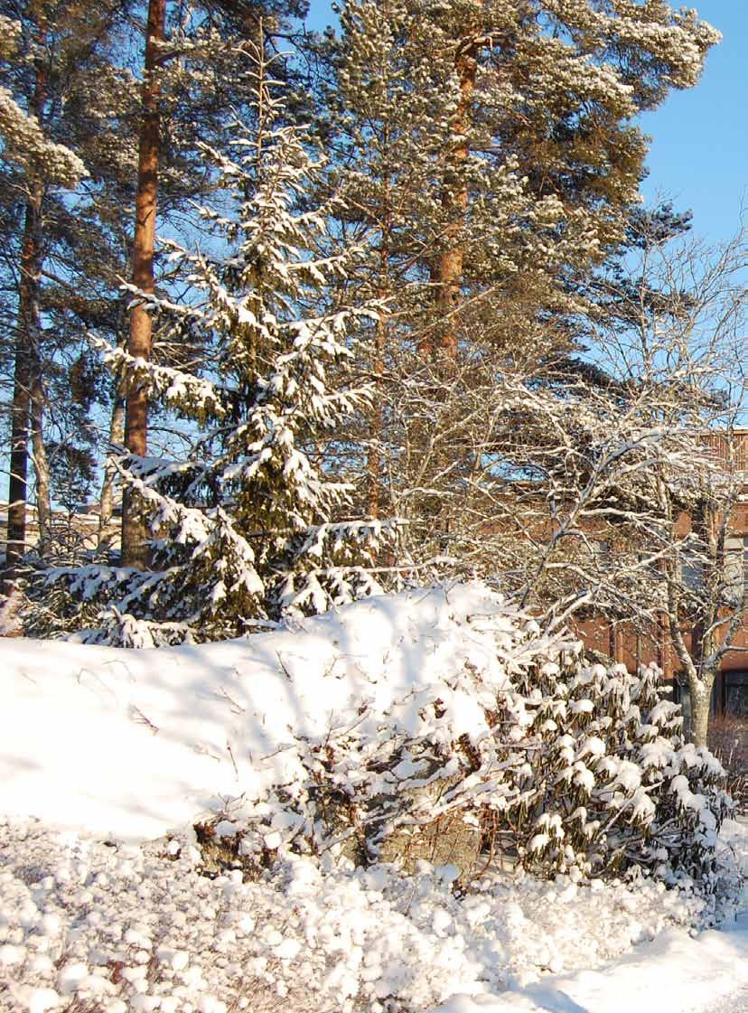 Beslutsfattande Päätöksenteko Samhällsbyggnadsnämnden fungerar som kommunens planläggningsmyndighet.