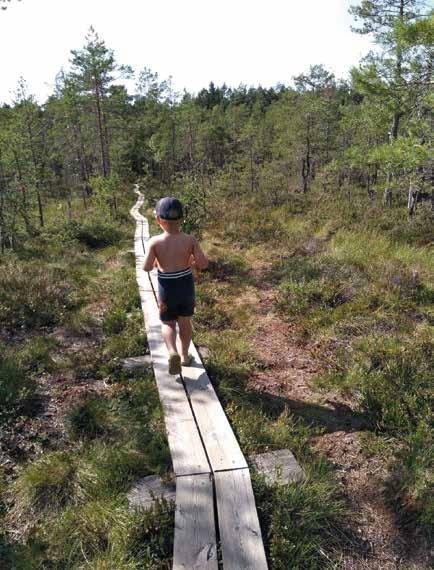 Ympärillä olevaa luontoa hyödynnetään myös spontaanisti opetuksessa ja toisinaan retket lähiseudun maataloihin piristävät arkea.