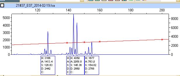 SSR fingerprints of Korai pipacs and