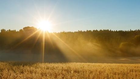 Fortum ForBest More Environmentally Friendly Textiles