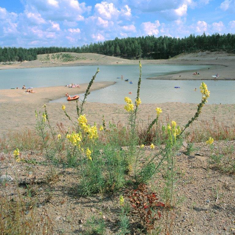 Mellilä,